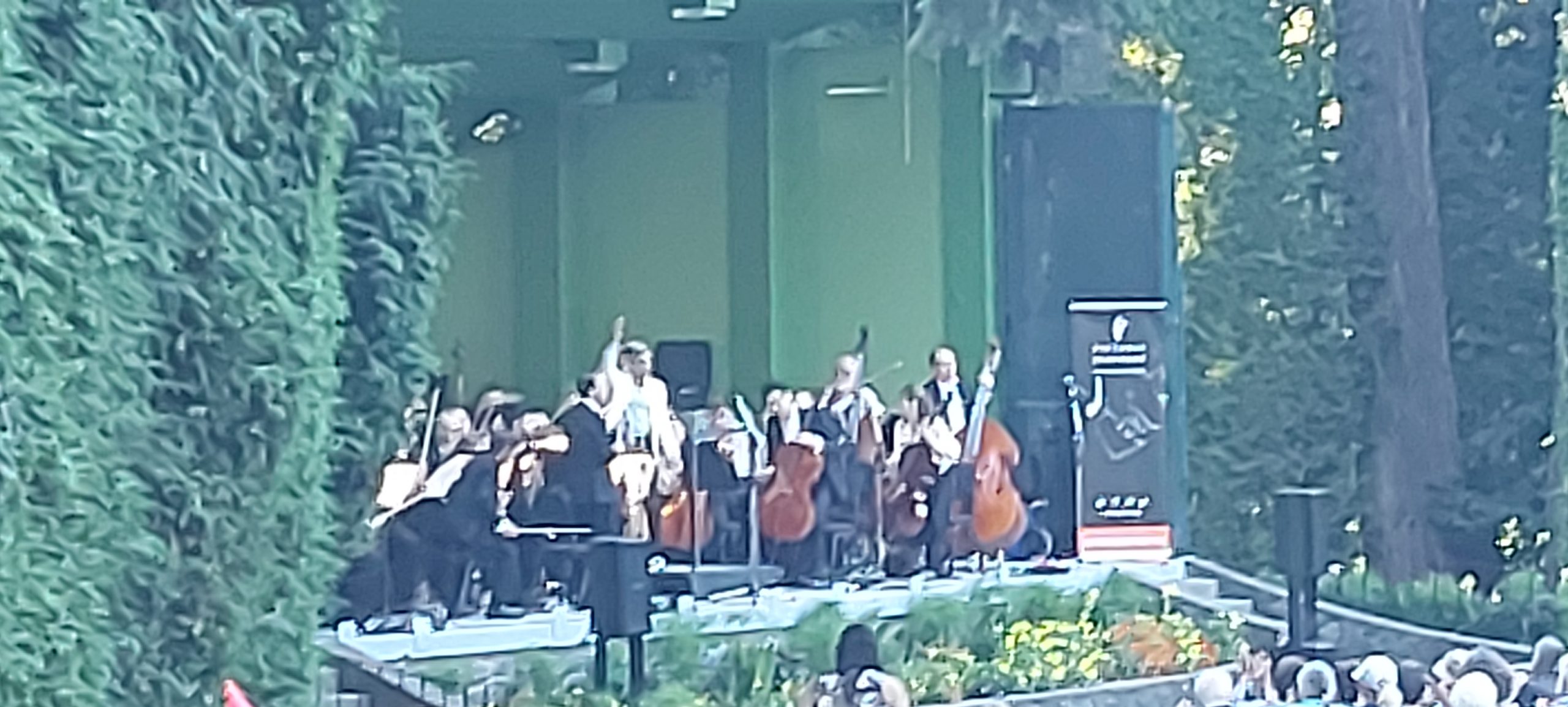 Symphony in the Park