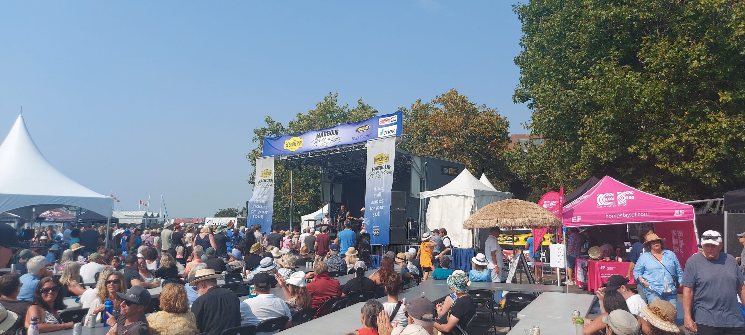 Blues n’ Roots Festival